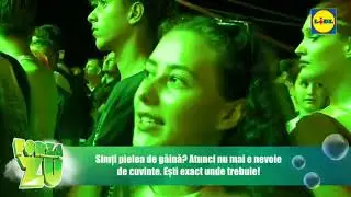 FORZA ZU 2025 LA TIMIȘOARA - DJ PROJECT X OANA MATACHE 