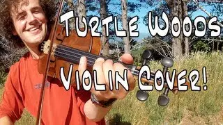 Crash Bandicoot - Turtle Woods Violin Cover Music Video