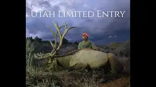 San Juan Limited Entry Bull Tag