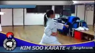 Kim Soo Karate of Baytown, Texas