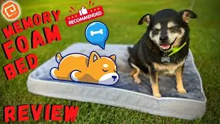 Memory Foam Dog Bed Amazon - Review