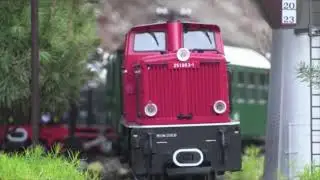 Diesel garden express train winding through the railway
