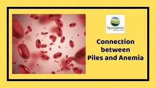 The connection between Piles and Anemia | Bleeding caused by Piles can cause Anemia