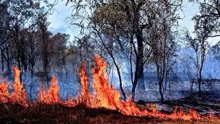 Bushfire warning for Shire of Harvey in Western Australia