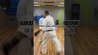 World Oyama Kyokushin Organization