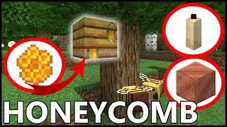 How To Get HONEYCOMB In MINECRAFT 1.17