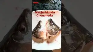 macha Munda Chencheda #shortvideo #meenmasala #recipe #video