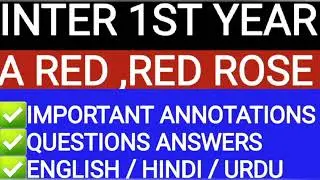A RED RED ROSE BY ROBERT BURNS INTER 1ST YEAR ENGLISH  ANNOTATIONS |QUESTION ANSWERS #inter1styear