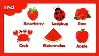 Learn the Colors | Colors for kids | Identify Basic Colors and Color Items