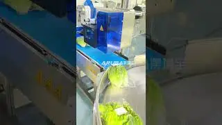 Vegetable packaging machine, which can automatically punch air holes for packaging, 3000-3600 p/hour