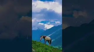 #Nature is best#