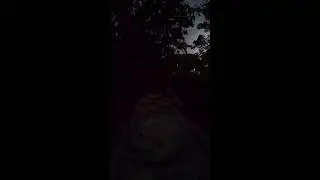 'BNS