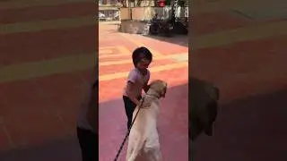 🐶💜 || Vlog by Indiegal | #music #ytshorts
