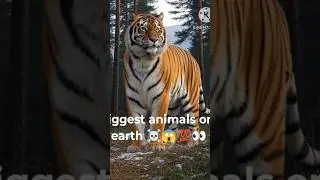 Do you fear 😨 🤯 with animals fact #shots #animals #fact #FACTUALCONTENT-f6v