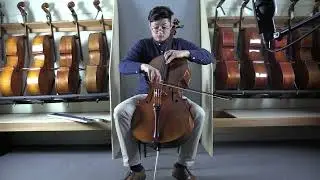 Vivo Replica of Gore-Booth 1710 Stradivari Cello for Sale | Linda West Cellos