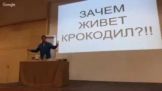 Маячки. Зачем живет Крокодил?!!   Дмитрий Васадин.  Лидерский Саммит 14.06.2018 Mercury Global