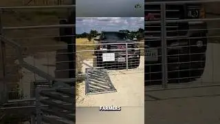 How Australian Farmers Built the Perfect Automatic Gate.
