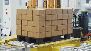 Low lever push type box bag palletizer #packagingautomation #palletizer 