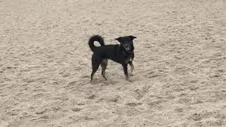 Barendorf Ostsee