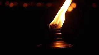 FREE FOOTAGE Garden Torch