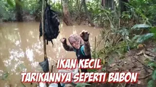 mancing ikan kecil  bersama teman#mancingikankecil#mancingliar #dihutan