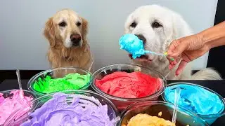 DECORATING EASTER EGGS WITH COOL WHIP! (Ultimate Dog Friendly Easter)