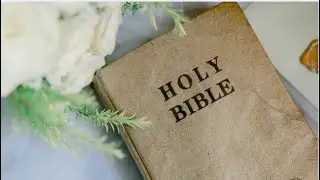 EXODUS 13
