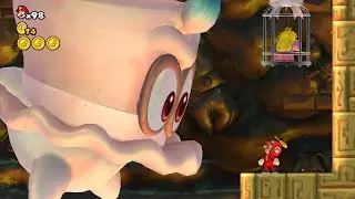 New Super Mario Bros. Wii - Final Boss Evil Cappy & Ending (HD)