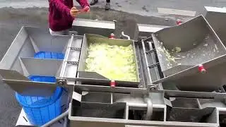 Two stage vortex washing machine, vegetable washer #vegetables