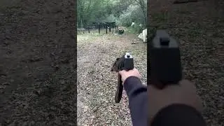 Pioneer Arms HellPup AKP 7.62