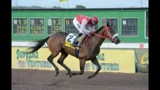 She's a Maneater (JAM) - 2017 Jamaica St Leger