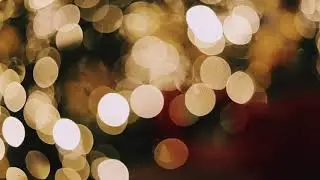 GoldFree Video| Nocopyright Video| Download free Video | Freevideo nocopyright