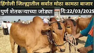 ♦️कामठा बैल बाजार 🔝 KAMATHA BAIL BAJAR💸 OMKARKALEE🔥 ता: कळमनुरी जि: हिंगोली