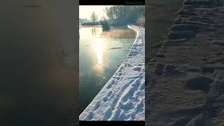 Hard Winter After Snow 20260106 #Goose #Nature v3