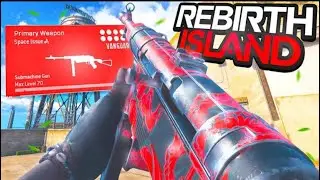 Mp40 over powered #rebirthisland #mp40 #bestloadout #bestloadouts