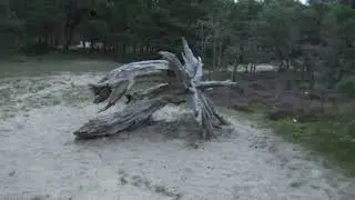 Kolka: Informationstafel #&nbsp;Information board # 24.8.2021 # (Lettland / Latvia)