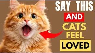 Say These 7 Words to Your Cat &mdash; Watch Their Behavior Change