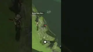 Korok Leaf Attack! (The Legend of Zelda: Breath of the Wild)