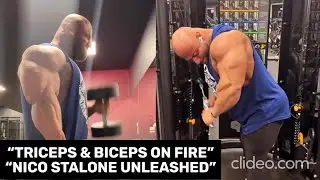 Arm Day in Beast Mode with Nico Stalone: Superset Triceps & Biceps Unleashed