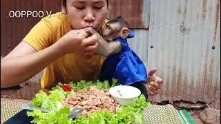 Tiny Monkey Janny Joining Eat Lok Lak with Mommy  / Janny  She eat So Much