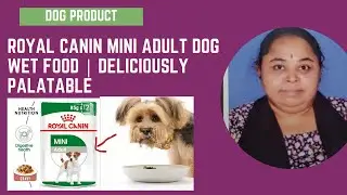 😃Royal Canin Mini Adult Dog Wet Food | Deliciously Palatable