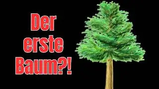 Der erste Baum der Erde – Wie Archaeopteris unseren Planeten veränderte