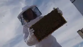 Honey For Life