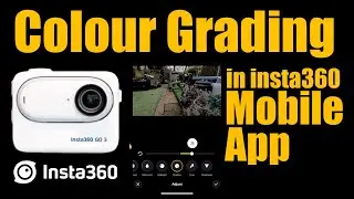 Can You Colour Grade Insta360 Go 3 Footage in the Mobile App?