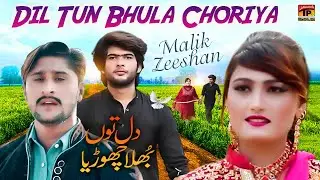Dil Tun Bhula Choriya | غمگین سونگ| Malik Zeeshan | (Official Video) | Thar Production