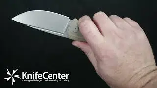 Petrified Fish PFP01 Beluga Liner Lock Front Flipper Knife