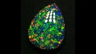Top Gem Black Opal