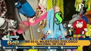 As&iacute; es el majestuoso Zool&oacute;gico Nacional de Chile