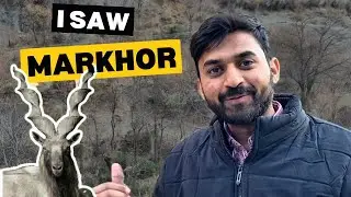 Finally I Saw Markhor In Chitral | Exploring Chitral City Ep : 05