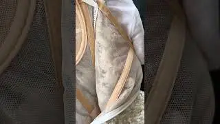 Sophia 2nd video Trumpet/Mermaid Sweetheart Nude Wedding dress